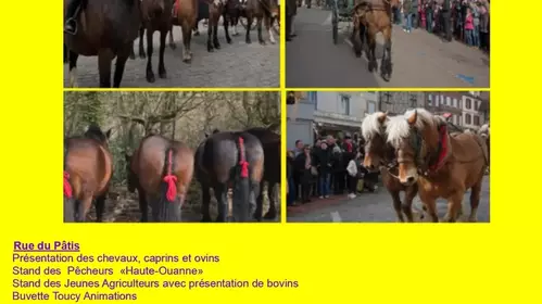 Beau Marché de Toucy 2025